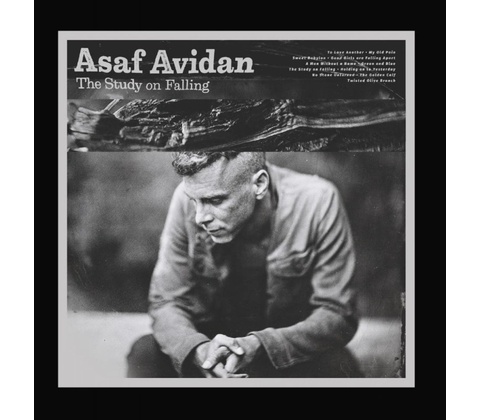 AVIDAN, ASAF - STUDY ON FALLING CD
