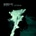 SEABOUND: SPEAK IN STORMS CD
