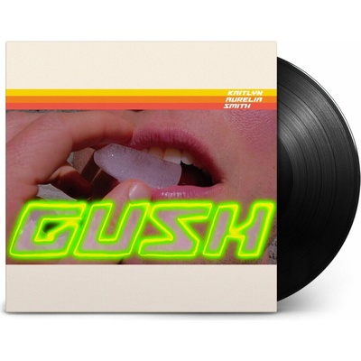 kaitlyn aurelia smith - Gush LP