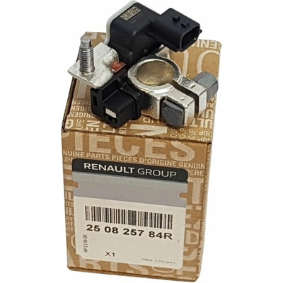 Svorka na autobaterii mínus (-) Renault Trafic od 2014, Vivaro 2014-2019 250825784R