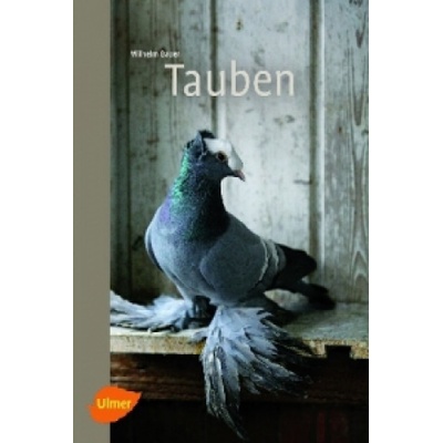 Wilhelm Bauer - Tauben