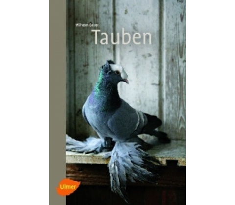 Wilhelm Bauer - Tauben
