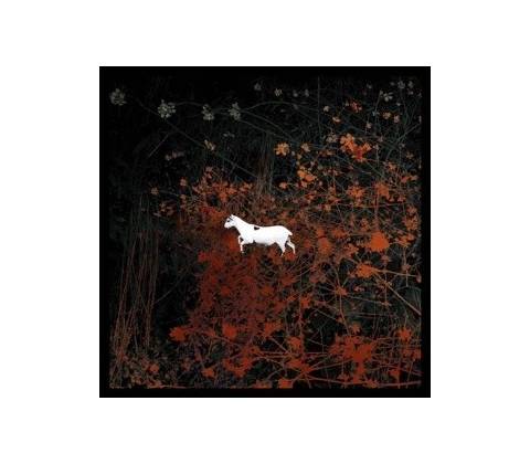 LES DISCRETS: PREDATEURS LP