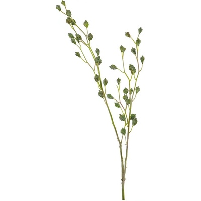 Blahovičník - Eukalyptus pučicí (spray) zelený 102 cm