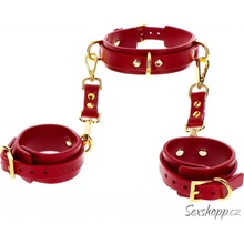 Taboom Bondage in Luxury D-Ring Collar and Wrist Cuffs