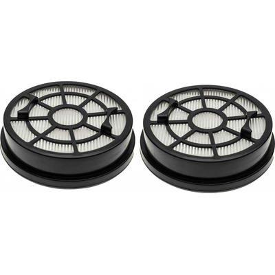Vacs Tefal TW 2925EA Swift Power Cyclonic Hepa filter 2 ks