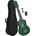 Cascha HH 3972 EN Green Сопрано укулеле (HH3972EN)