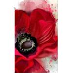 DIMEX ART Флизелинов фототапет мак 150 x 250 см