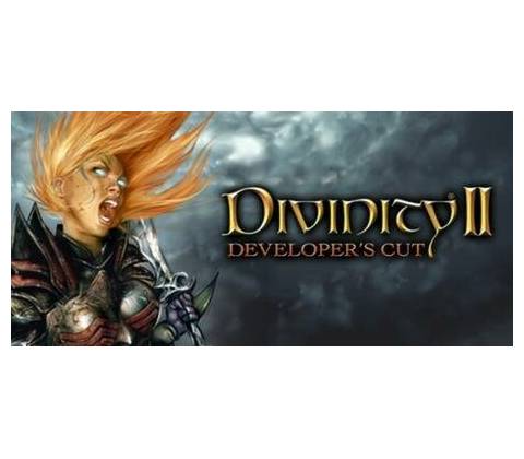 Divinity 2 (The Developer’s Cut)