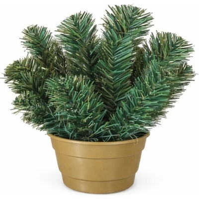 Čečinový základ mini 25 cm