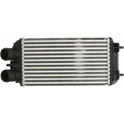 THERMOTEC Chladič turba DAF012TT