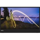 Lenovo ThinkVision M15