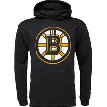 Fanatics Boston Bruins Primary Logo graphic Hoodie