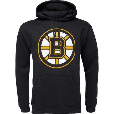 Fanatics Boston Bruins Primary Logo graphic Hoodie