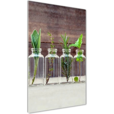 Vertikálny foto obraz sklo tvrdené Bylinky v pohároch 50x100 cm