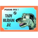 Dafiko Tabulka Irský vlkodav
