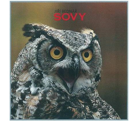Sovy - Jiří Bednář