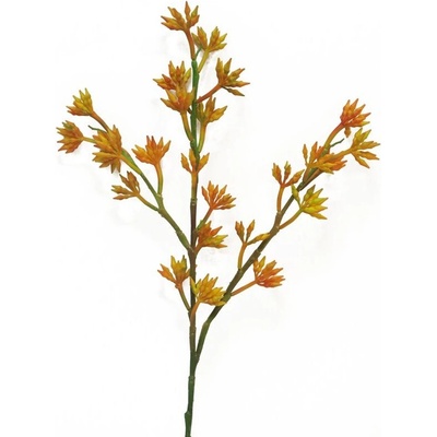 Zrno (seed) 'Eloy' větev oranžové 57 cm