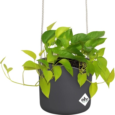 elho Závesný kvetináč b.for swing 18 cm - antracit