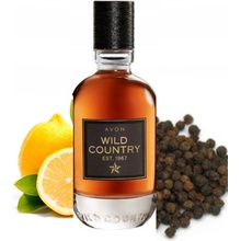 Avon Wild Country toaletná voda pánska 75 ml