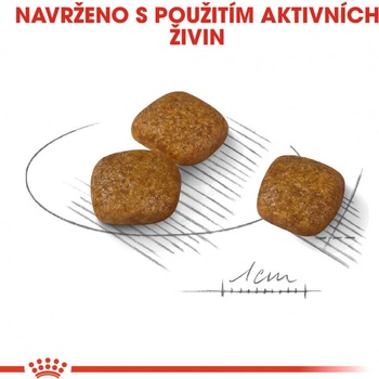 Royal Canin Mini Urinary Care 8 kg