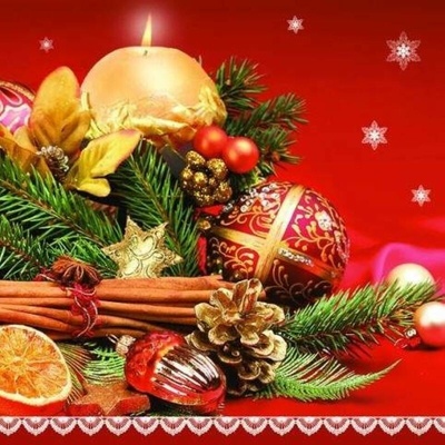 DAISY SDGW 005201 Christmas Spices servítky 3V vianočné 20ks 33x33cm
