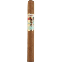 Ashton Cigars Paradiso Elegancia Churchill 1 ks