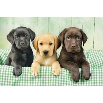 Clementoni - Puzzle Three Labs - 1 000 piese