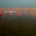 Extrawelt - Dystortion (3 ) LP