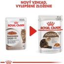 Kapsičky pre mačky Royal Canin Ageing 12+ v želé 12 x 85 g