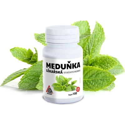 VALKNUT Meduňka lékařská Melissae Herba 100+20 kapslí