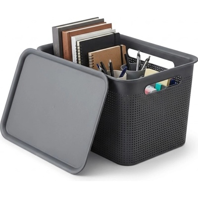 Rotho úložný box s vekom a s držadlami BRISEN 16 l, 36x26,2x21cm, čierny