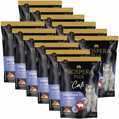 Prospera Plus Sterilized 1+ Beef & Pumpkin 12 x 85 g