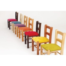Bradop Židle Z519 Apolenka