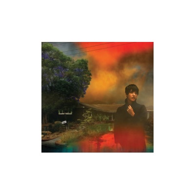 Van Etten Sharon - We've Been Going About.. Coloured LP