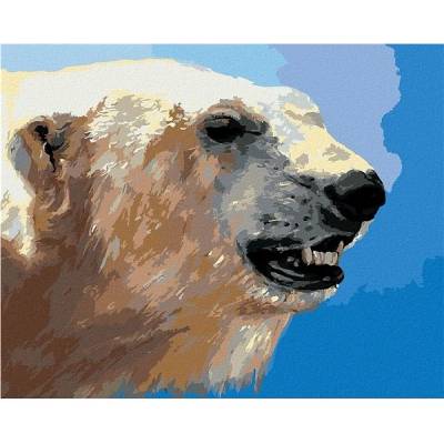 zuty Malování Podle Čísel Portrét Lední Medvěd D. Rusty Rust 40 x 50 Cm Plátno Rám