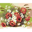 ZUTY Maľovanie podľa čísel VLČÍ MAK A SEDMOKRÁSKY