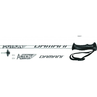 Damani Action 2021/22