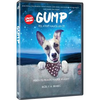 MagicBox Gump - DVD (043591)