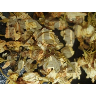 Bylinná lékárna Jasmín květ Jasminum flos 500 g
