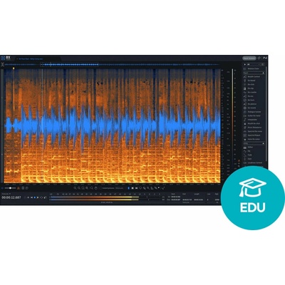iZotope RX 11 Standard EDU
