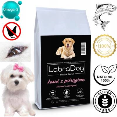 LabraDog bez obilnín malé plemená losos 2 kg