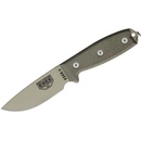 ESEE-3-P-DT