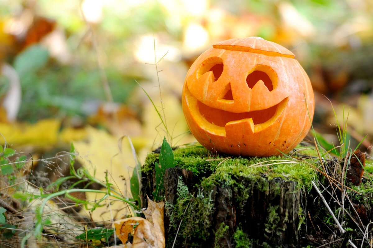 Faragott tök halloweenre