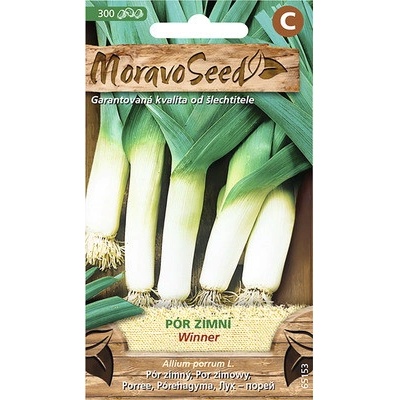 Pór zimný WINNER MoravoSeed