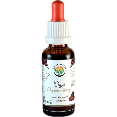 Salvia Paradise Čaga Rezavec šikmý AF tinktura 30 ml