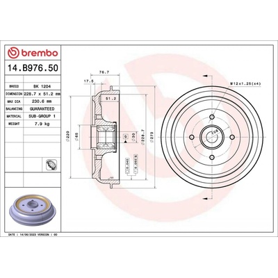 Brzdový bubon BREMBO ESSENTIAL LINE - With Bearing Kit 14.B976.50