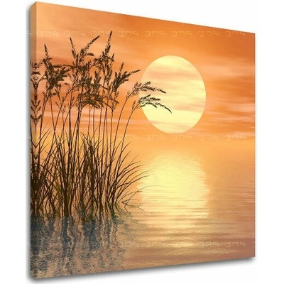 Papilora Obraz na stěnu ABSTRAKT - 60x60 cm