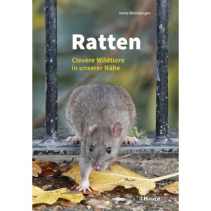 Ratten | Irene Weinberger (2025)