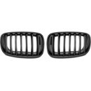 TUNING-TEC Predná maska, BMW X5, E70, 2006-2013